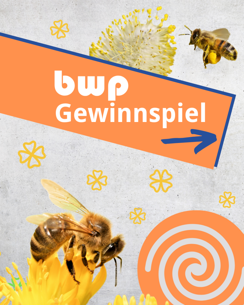 Gewinnspiel zum Weltbienentag